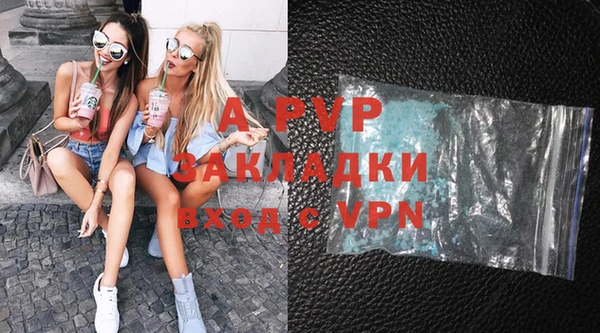 ПСИЛОЦИБИНОВЫЕ ГРИБЫ Карталы