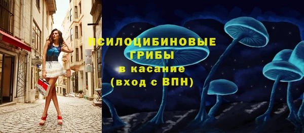 ПСИЛОЦИБИНОВЫЕ ГРИБЫ Карталы